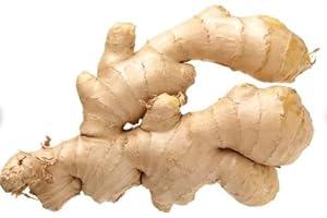 TOPNOTCHPLACE Organic Fresh Ginger Root – Premium Quality, Non-GMO, Bold Natural Flavor & Aroma | great for Cooking, Tea, Wellness & Herbal Remedies (1 LB) | Bulk 1lb – 10lb Options