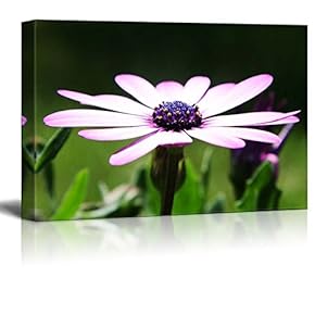 Canvas Prints Wall Art - A Flower Landscape in Rural Area in Spring - 12" x 18"