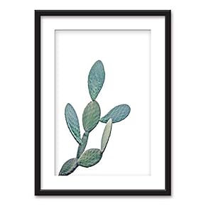 Framed Cactus on White Background Black Picture Frames White Matting