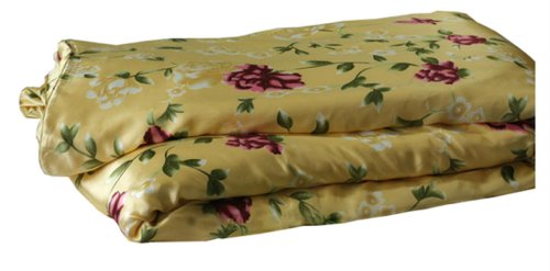 MAXFEELSilk 1pc Silk Duvet Cover, Quilt Cover, Comforter Cover, 100% 16.5mm Print Mulberry Silk,Charmuse Silk, Queen Cal.King Full King Twin Size #12 (Twin)