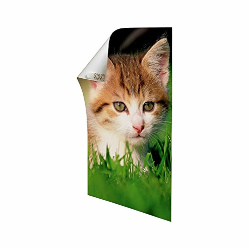 1 Command+Poster+Hanging+60+Pairs+17024+60ES