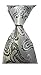 New Gray Paisley JACQUARD WOVEN Men's Tie Necktie2011
