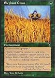 Magic: the Gathering - Elephant Grass - Visions