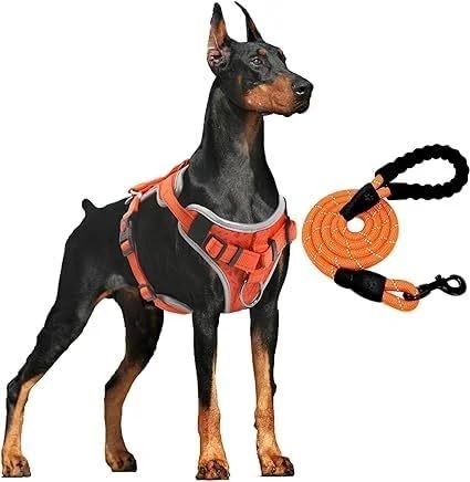 XL Dog Harness with Leash