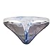 Arjen Kroos Men's Thong Underwear G-String Bulge Pouch T Back
