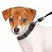 ThunderSnap Quick-Connect Dog Leash (X-Large, Black)