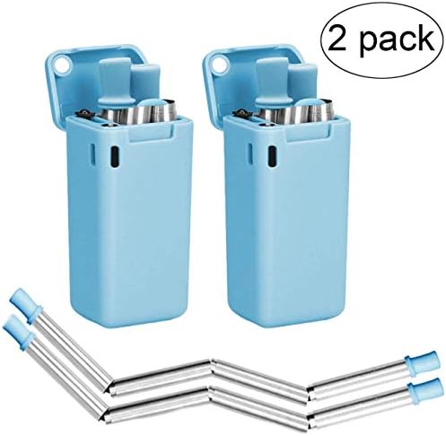 Hydreamus Collapsible Reusable Stainless Steel Folding Drinking Straws Keychain Foldable Final Premium Food-Grade Portable Set with Hard Case Holder C, Small