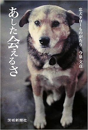 あした会えるさ 忠犬タローものがたり 今泉 文彦 本 通販 Amazon