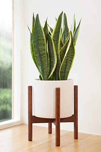 2 Mkono+Century+Display+Planter+Included