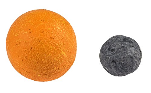 Safari Ltd  Safariology The Solar System