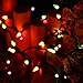 ⭐️Halloween String Lights - 24ft 100 Incandescent Orange&Purple&Green Mini Bulbs Lights, Halloween Lighting Decor for Outdoor&Indoor Use, Fairy Garden, Yard, Home, Party, Holiday, Halloween Decoration