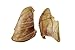 Pig Ears for Dogs | Quality Dog Chews by 123 Treats | 100% Natural Pork Ears Full of Protein for Your Pet (Canada, 100 Count)