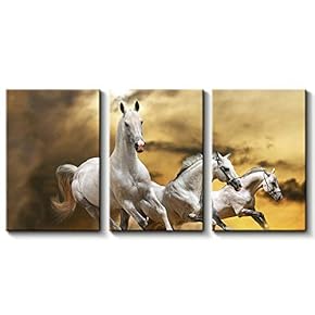 3 Panel Beautiful White Horse Painting Wall Decor...