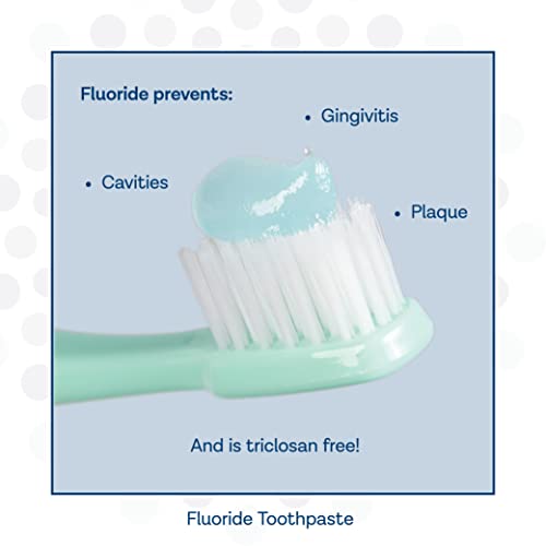 PROSYS® Mint Fluoride Toothpaste Gel, ADA Approved, Prevents Cavities