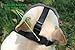 Short Snout Dog Muzzles - Adjustable Breathable Mesh Dog Muzzle with Eyehole for Bulldog Boston Terrier And Short-snouted Breeds to Anti-Biting Barking and Licking Chewing Barking Training Dog Mask