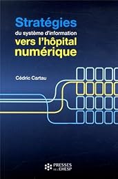 Stratégies du système d'information