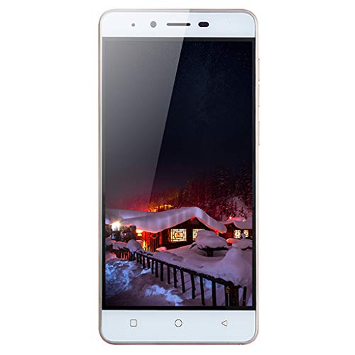 5.0''Inch Ultrathin Android 5.1 Quad-Core 512MB+4GB GSM 3G WiFi Dual Smartphone (Rose Gold)