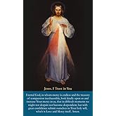 Divine Mercy, Jesus I trust in You, LAMINATED prayer card, 3 x 5 inches (3-pack) plus two free bonus cards
