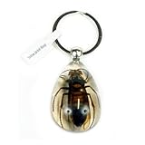 Yellow Jacket Wasp Key Chain Tear Drop Clear