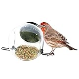 My Spy Birdhouse Up Close Bird Feeder, Watch Your Favorite Feathered Friends Feeding