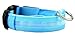 Safety Dog LED Collar Flashing Light up, Glow and bright (Ships From USA) (Medium, Blue)