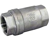 Duda Energy VCV-WOG1000-F100 Vertical Check Valve, 304 Stainless Steel, 1