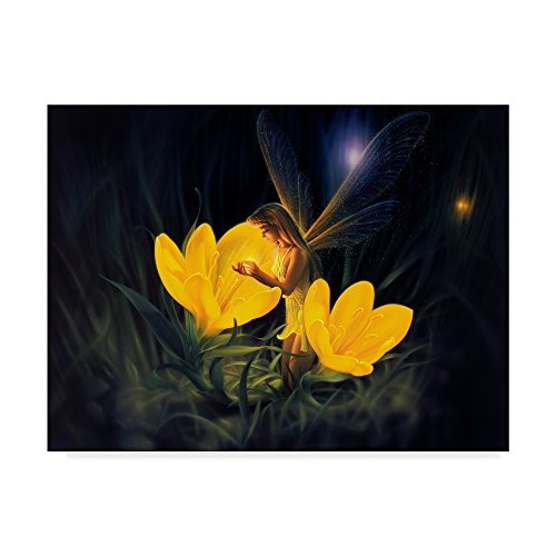 Trademark Fine Art Night Harvest Fairy by Kirk Reinert, 14x19-Inch