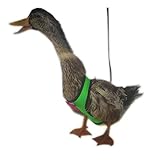 Yesito Chicken Harness Hen Size with 6-Foot