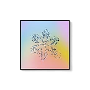Framed Canvas Wall Art for Living Room, Bedroom Snowflake Theme Canvas Prints for Home Decoration Ready to Hang - 16x16 inches