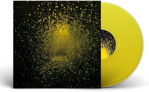 Amazon.com: After: CDs & Vinyl