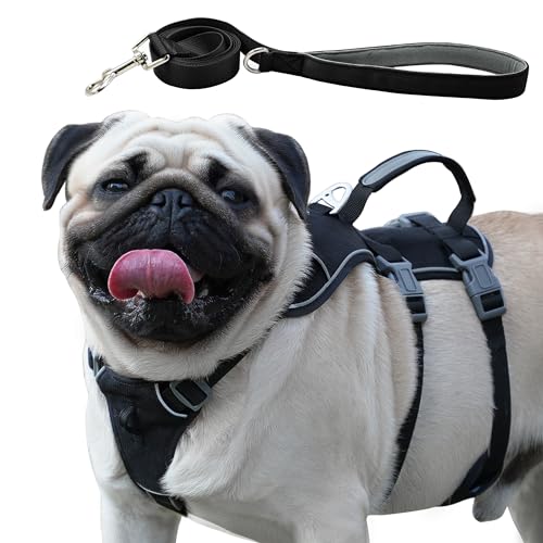 Wuffley Escape Proof Dog Harness Leash Set