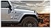 Noa Store 1997-2002 Jeep Wrangler Sport 4.0L Replacement Fender Decals Sticker TJ 1 Set
