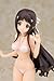 Skytube Nakaimo: Konoe Tsuruma PVC Figure (Swimsuit Version) (1:7 Scale)