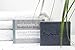 myfootprint Activated Charcoal & Therapeutic Peppermint Oil 6oz Face Soap or Body Soap, Amazing Cleanser for Acne and Pimples (Pack of 1)