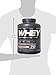 Cellucor Whey Protein Isolate & Concentrate Blend Powder with BCAAs, Post Workout Recovery Drink, Gluten Free Low Carb Low Fat, Cinnamon Swirl, 70 Servings