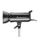 Flashpoint Studio 400 Monolight with Built-in R2 2.4GHz Radio Remote System - Bowens Mount (SK400II)