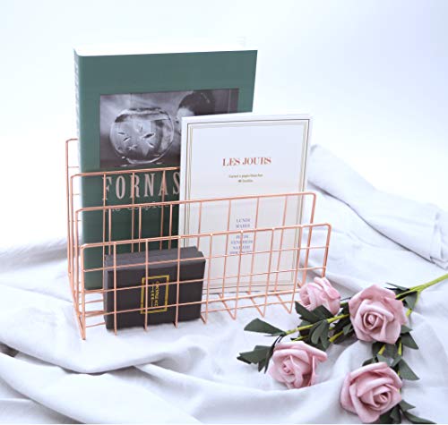 Desktop Letter File Sorter,Mail Oragnizer,Magazine Holder Organizer Rack for Home Office Mails Books Files Brochures Postcards Makeups and More, 3 Slot