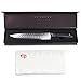 Tuo Cutlery 9 inch Slicing Carving Knife - Japanese AUS-10D Damascus Steel - Meat Knife with Ergonomic G10 Handle - RING-D Series