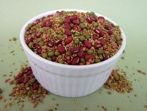 Holiday Salad Mix Certified Organic Non-GMO Adzuki, Mung, Alfalfa, Radish and clover Organic Sprouting Seeds 1 pound (price includes shipping)