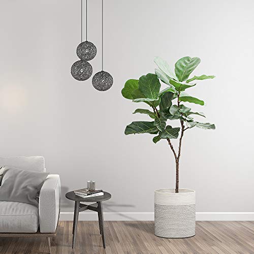 image for LiyuanQ Rope Plant Basket Modern Woven Basket Indoor Planter Up to 10 