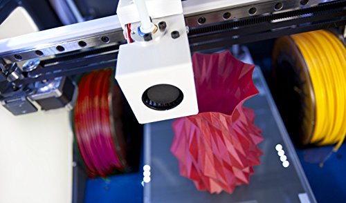 BCN3D Sigma Technologies Sigma Independent IDEX Dual ...