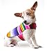 Dog Clothes - Handmade Dog Poncho from Authentic Mexican Blanket (Pink, X-Small)