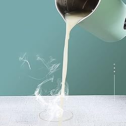 Soymilk Maker - 350mL Juicer Soy Milk Machine with
