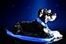 Premium LED Reflective Dog Leash, USB Rechargeable, Available in 6 Colors (Electric Blue)