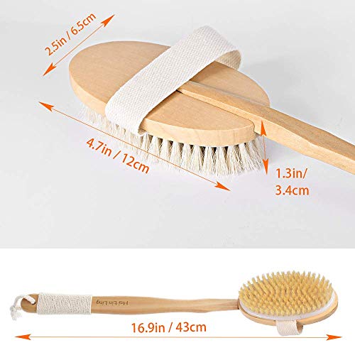 2pcs Shower Brush Bath & Dry Skin Body Brushing, Back Scrubber with Anti-slip Long Detachable Wooden Handle, 100% Natural Bristles, Perfect for Exfoliating, Detox and Cellulite, Blood Circulation - Thumbnail 6