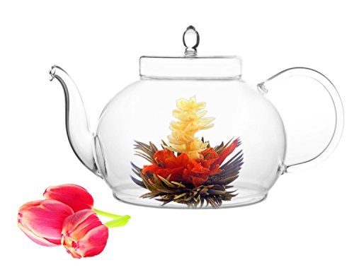 Blooming Tea Glass Teapot Gourmet Gift Set Polo 45oz/1330ml with Fab Flowering Green Tea 4 packs