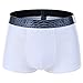 Vogyal Men See Through Underwear Sexy Mens Lingerie Mesh Breathable Boxer Briefs(Pack of 4)