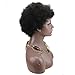 SinoArt Afro Kinky Curly Short Wig 100% Brazilian Remy Human Hair 130% Density Short Full Wig for Women (Natural Black)