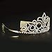 ULTNICE Wedding Tiara Bridal Princess Crown Crystal Rhinestones Headband for Prom Wedding Party Gold