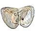 2018-Freshwater Cultured Love Wish Pearl Oyster with Round Pearl Inside 20 Colors (Random Color 20 PCS 7-8mm)